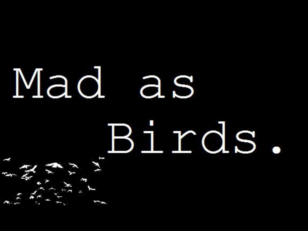 Tomorrow night 28th Oct, join us for #poetry #music #beer #wine  Mad as Birds is back ! Over 18's X