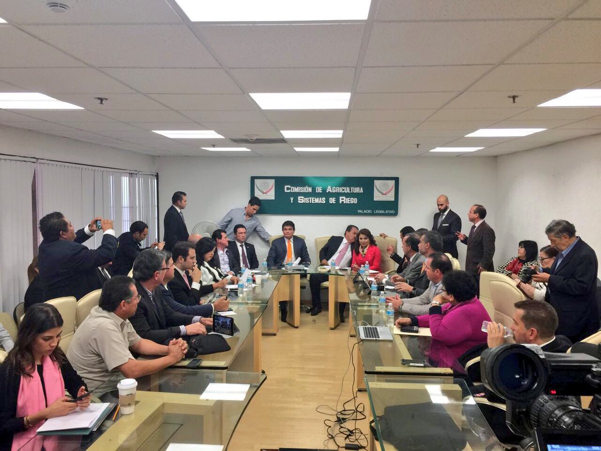 #ElCampoNosUne @DiputadosPRI #HaciendoEquipoPorSinaloa <a href="/malovamx/">Mario López Valdez</a> <a href="/germanescobarmx/">German Escobar</a> <a href="/evelioplata/">Evelio Plata Inzunza</a> <a href="/MarthaSTamayo/">Martha Tamayo</a> <a href="/GloriaHimelda01/">Gloria Himelda Félix</a> <a href="/bernantelo/">Berna Antelo</a>