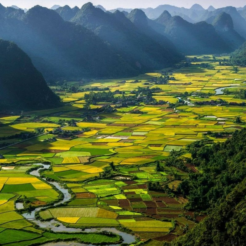 Red Lantern tweet media