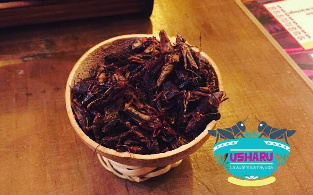 #Usharu #Chapulines #Sabor #Oaxaca #JuevesDeGanarSeguidores