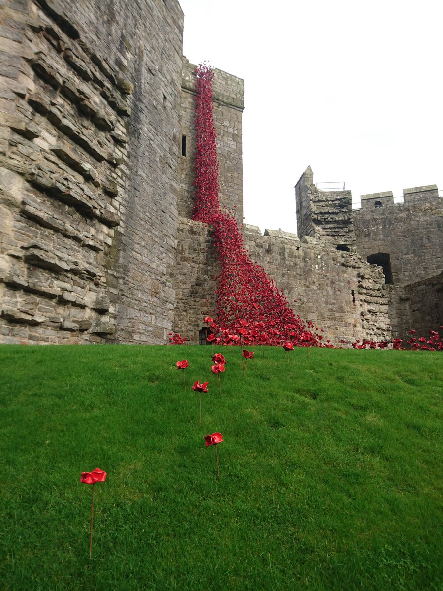 plodthelakes's tweet photo. The beautiful Weeping Window poppy display at Caernarfon Castle  #PoppiesTour @CaernarfonCadw  #Cymru #Wales https://t.co/22yJQQkVO4