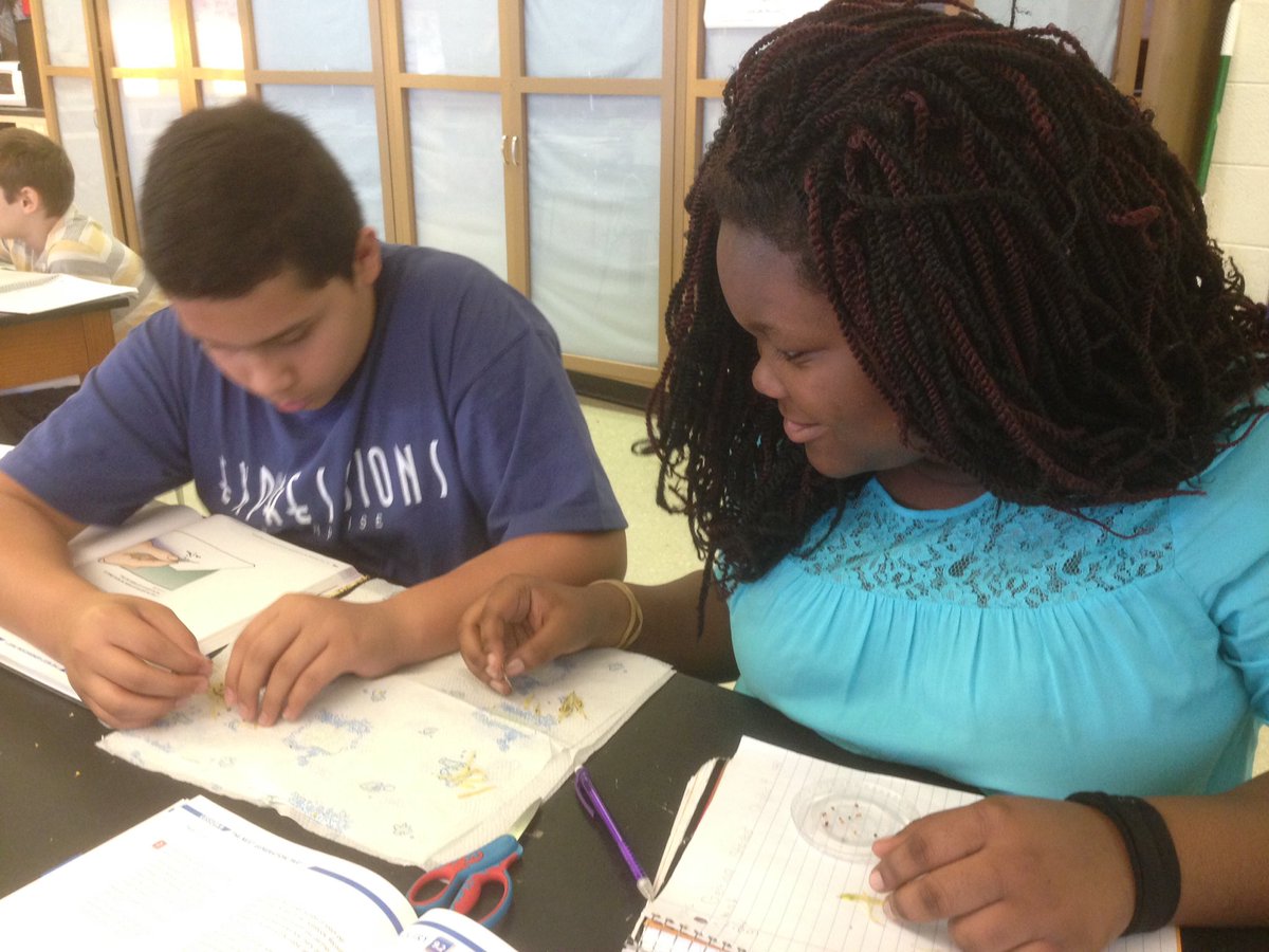 ms_hamlin's tweet photo. Harvesting seeds, collecting data, & analyzing the data. So...how many seeds per pod? Avg of 3.55 #DJHSlearn #ECSLearn https://t.co/ezAvLNVbAq
