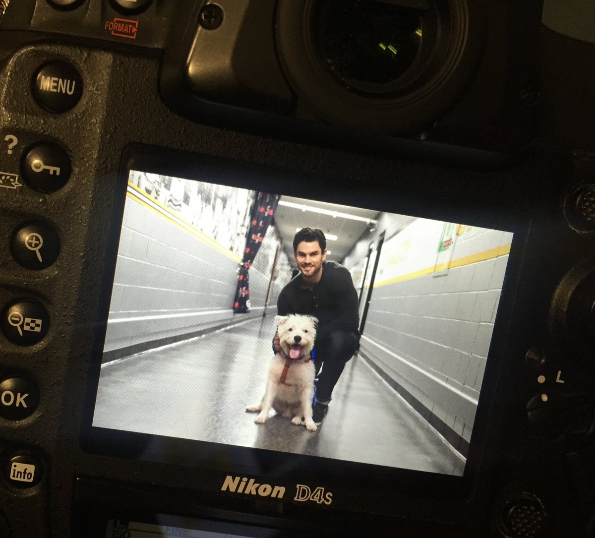 Behind-the-scenes at the @MspcaAngell Pucks & Pups calendar shoot with McQuaid, @1996_Carlo, @mooredom, @jmorrow7 🐶 https://t.co/MutpXJC2E7