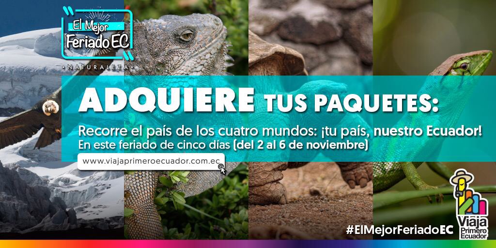 Viaja Ecuador tweet media