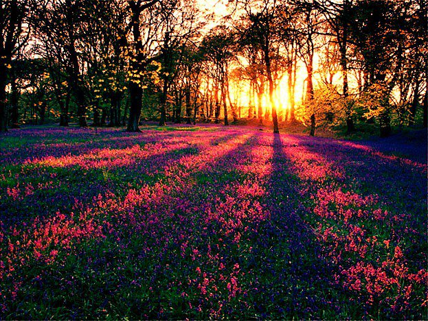 thinkbiggertv's tweet photo. The beauty of Creation.  https://t.co/9l8Slt2X6A https://t.co/jiZGQURxI6