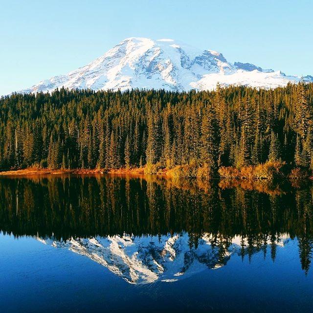 And now, it's time for some Thursday afternoon #OptOutside inspiration. Photo by Instagram's nan_vs_wild at <a href="/MountRainierNPS/">MountRainierNPS</a>.