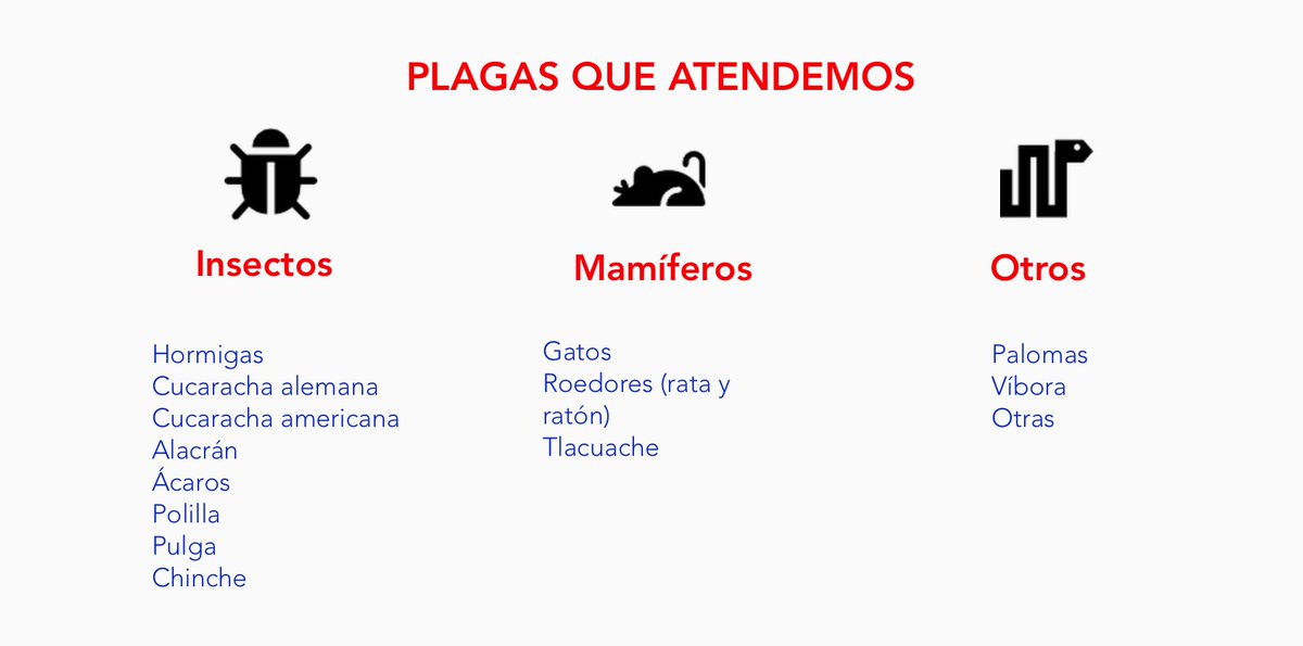 RolincMx's tweet photo. En Rolinc Control de Plagas te ayudamos a terminar con este tipo de fauna nociva https://t.co/HEFDngXtWC https://t.co/oViPKtOA45
