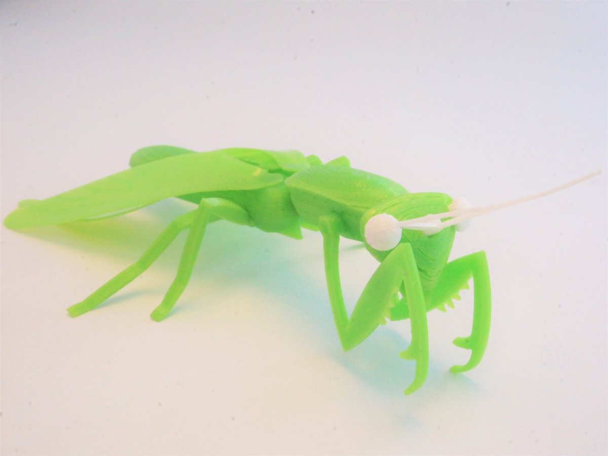 DiabaseEng's tweet image. Build some scary bugs! Spider, scorpion, fly, mantis, ridiculous hybrid. @thingiverse Build-a-bug thingiverse.com/thing:1852573