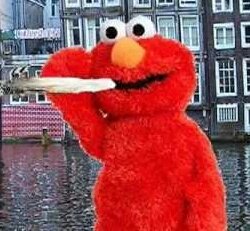 Aranea (@cobaitcorsair) on Twitter photo 