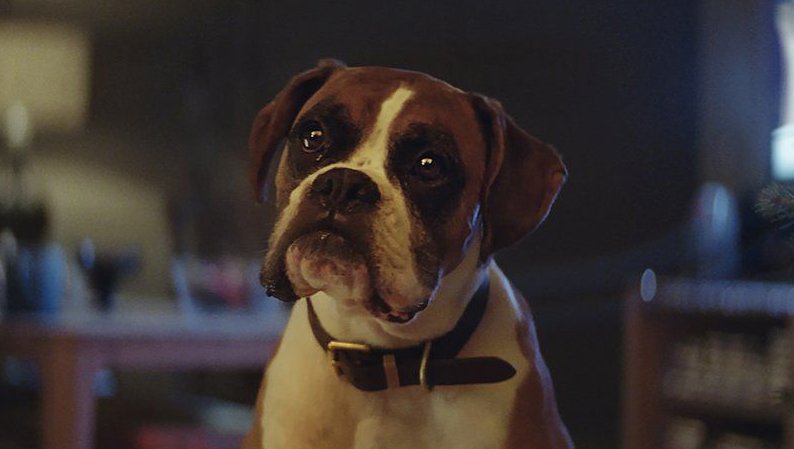 Bill_Badbody's tweet photo. https://t.co/Hc61sp8FEG
“My Trampoline Addiction Hell” Buster The Boxer Tells All https://t.co/E8RoNcBS2o