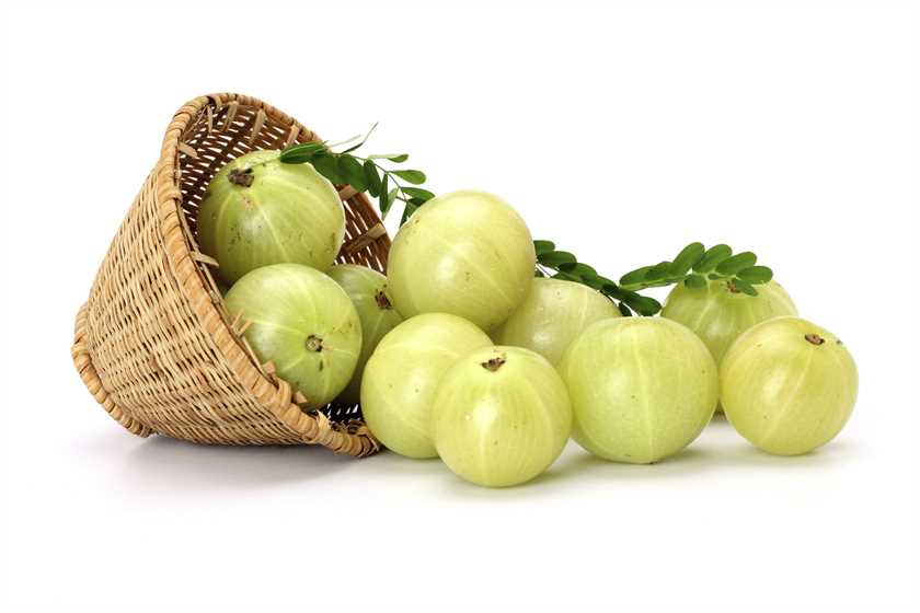 askopinioncom's tweet image. #Organicamlapowder Health benefits of organic amla powder Via askopinion.com/health-benefit… @sunita_naik12  @Divyasingh04