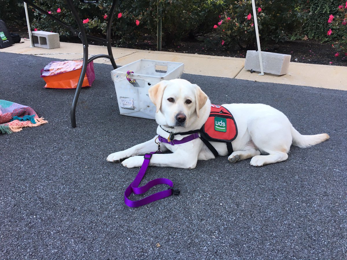 WESpolarbears's tweet photo. Aspen joined #udservicedogs this AM at #JohnsonJohnson to thank them for their support! https://t.co/5iZ5irG5Kb