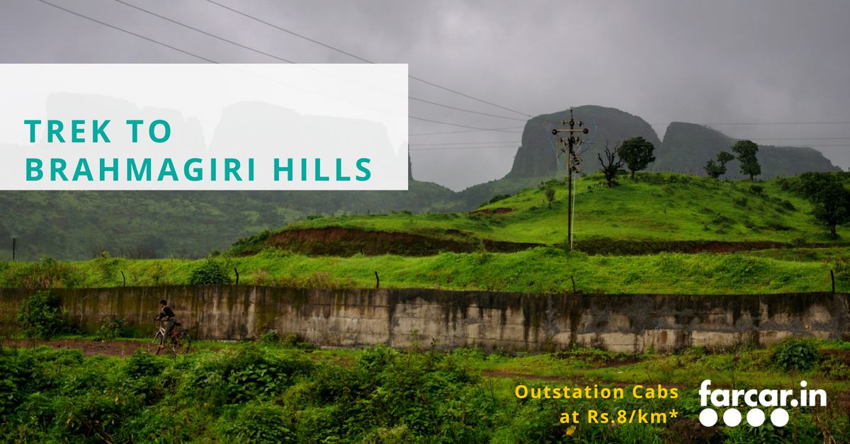 farcarofficial's tweet photo. #Bangalore,Trek To Brahmagiri Hills this weekend. Available on @thrillophilia ​: https://t.co/3e5Xhwic0e | BookCabs https://t.co/9h45rBK9Cf https://t.co/SNff1HyZ4p