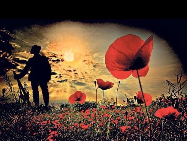 On the 11th hour of the 11th day of the 11th month. #WeWillRememberThem #ArmisticeDay #lestweforget