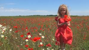 We work hard to protect the children of today and tomorrow but let's not forget those of yesterday #WeWillRememberThem