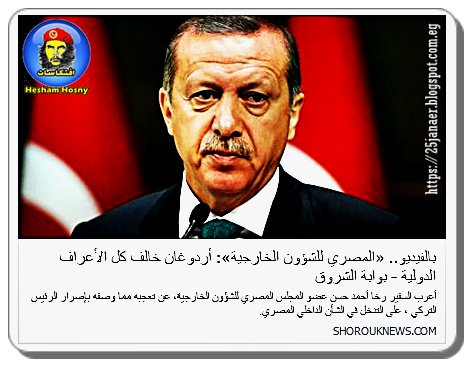 «المصري للشؤون الخارجية»: أردوغان خالف كل الأعراف الدولية