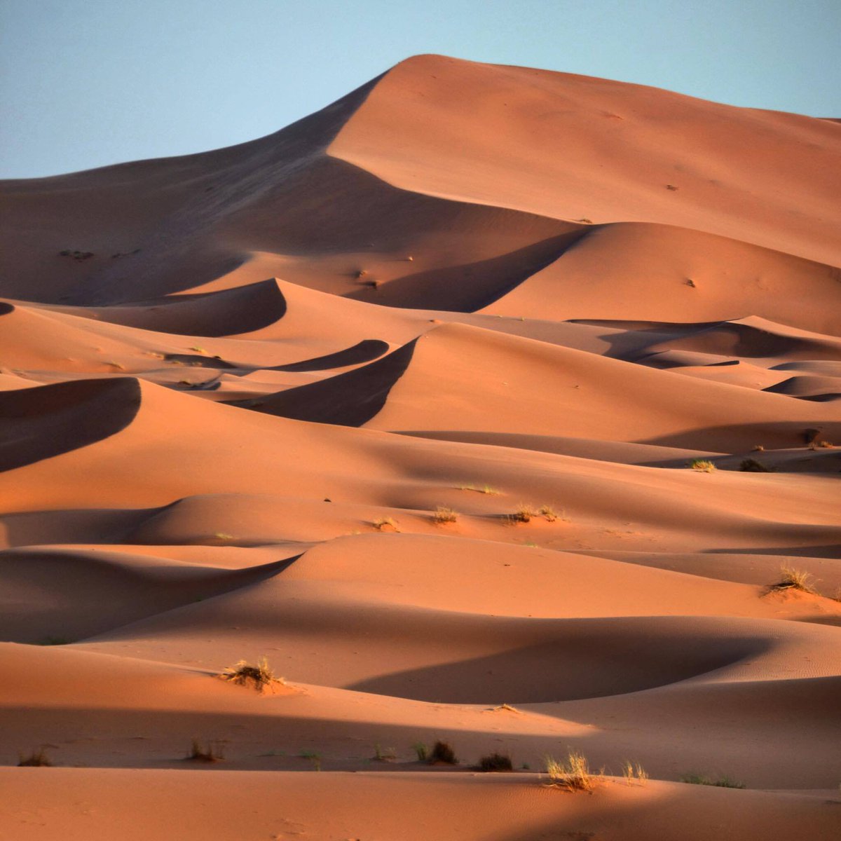 Magical #desert #ErgChebbi in #Merzouga
