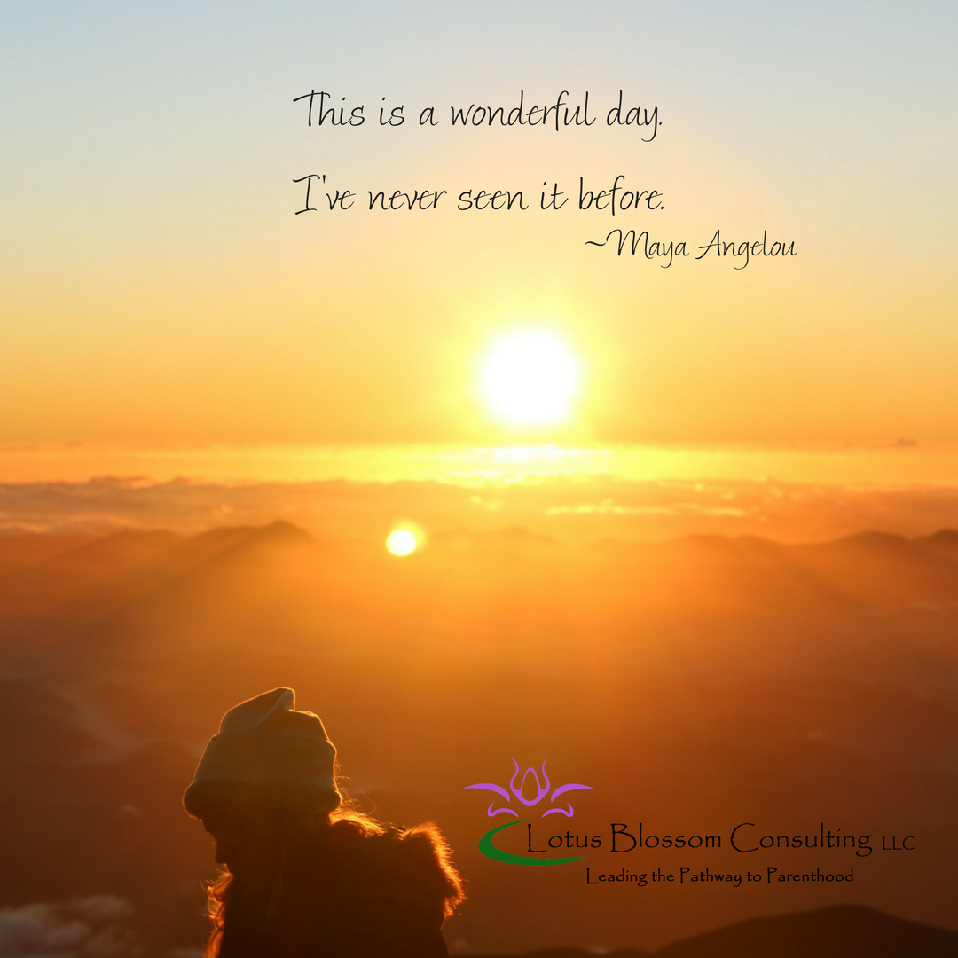 infertilityhope's tweet photo. No matter how dark yesterday may have seemed. Today is a new day. https://t.co/KhSwt9eU49