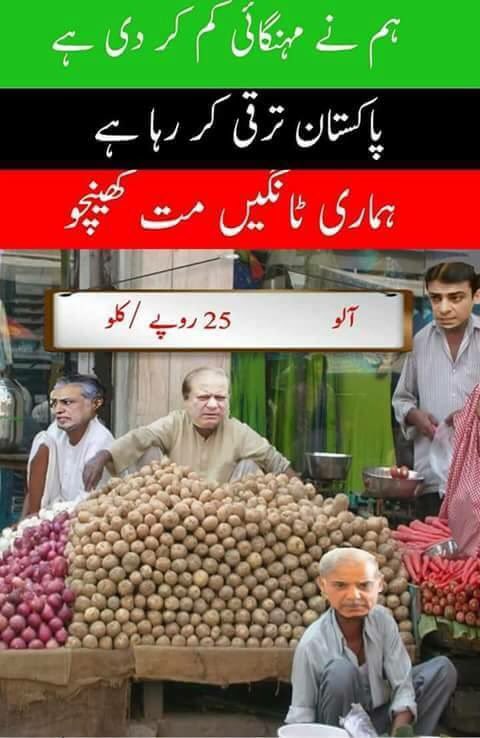 umer1510's tweet image. 