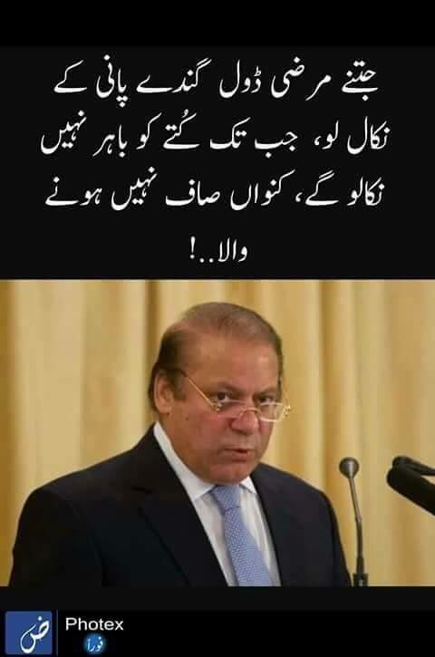 umer1510's tweet image. 