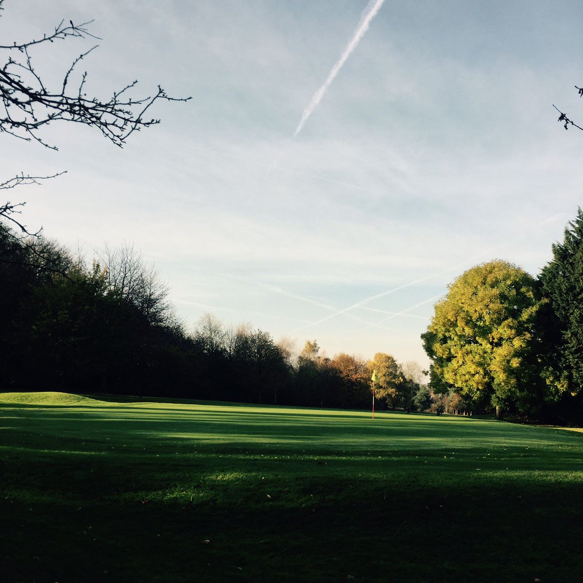 WoodcoteParkGC's tweet photo. Course is looking pure today #coursepride #perfectforgolf https://t.co/KWx09XsJjR