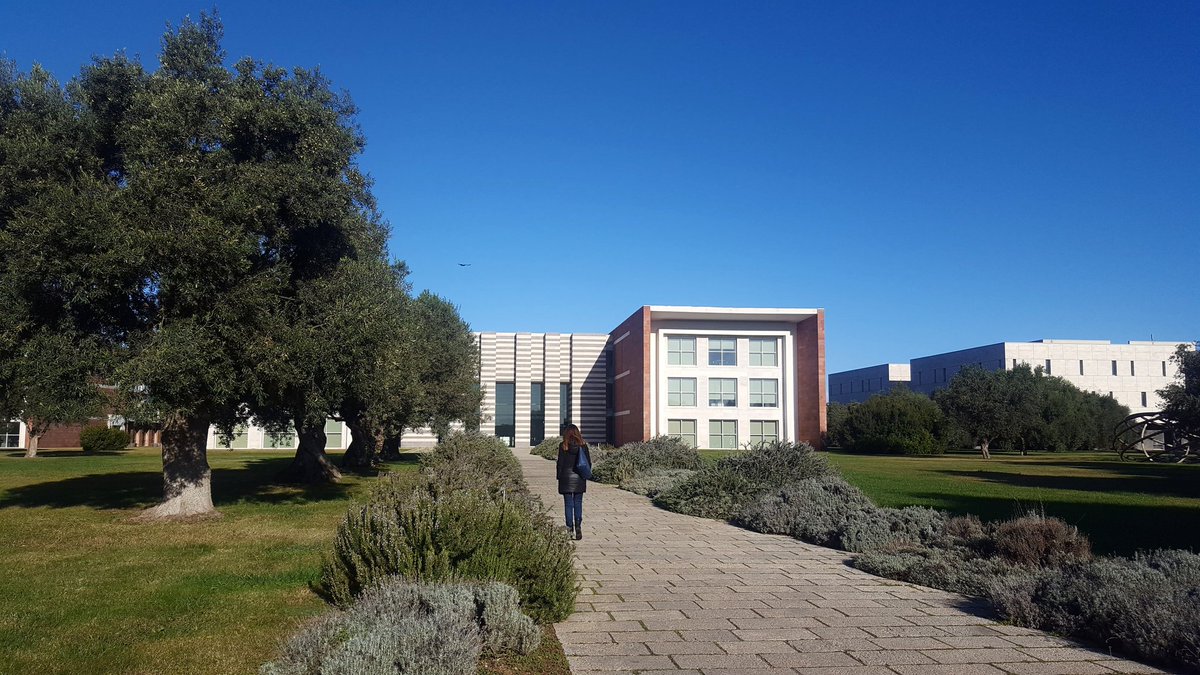 Modalità geek on #googledaysca <a href="/opencampus/">0</a> #GDadwords #GGDCagliari