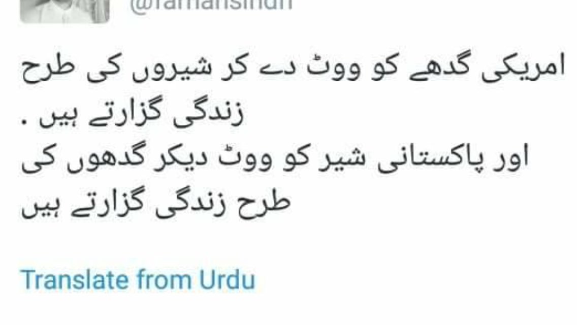 umer1510's tweet image. 