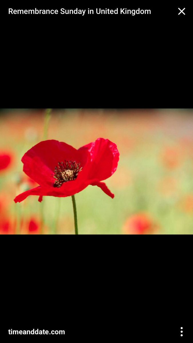 ModularWiring's tweet image. 