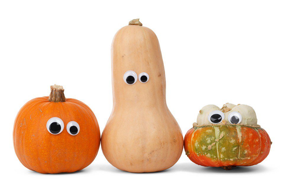 salt_clay's tweet photo. Gourdeous https://t.co/FJMap6bA1f https://t.co/3ALEzS8Nc5