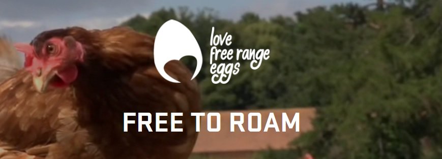 Visit the new Love Free Range Eggs website to discover, learn and love the world of #freerange!: lovefreerangeeggs.co.uk