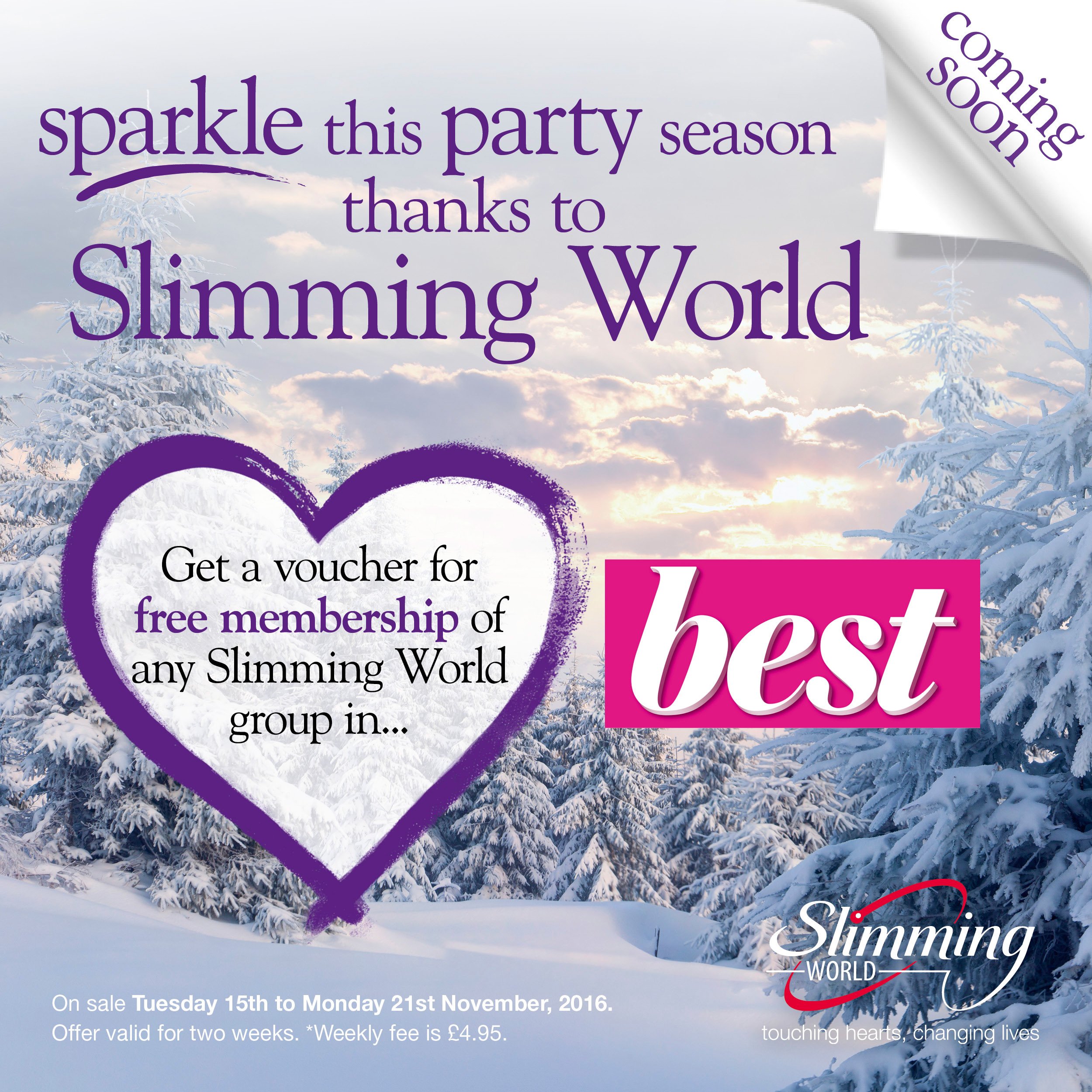 Slimming 2024 world online