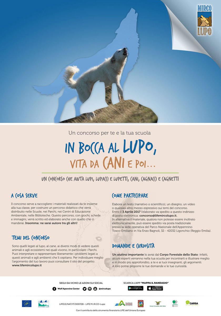 lifemircolupo's tweet photo. "In bocca al lupo" un #concorso che aiuta #lupi, #lupacci, #lupacchiotti, #cani, cagnacci e #cagnetti @LIFEprogrammeIT @parcoappennino https://t.co/BTNF5URRwM