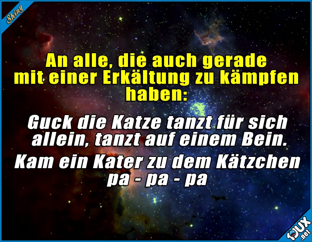 Tanzt text allein die schau katze ♫ Gerhard