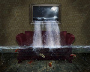 DeepCleaningL's tweet image. A Short #Walk, #Rain and #Basement #Cleaning
  bit.ly/2fCv0pO