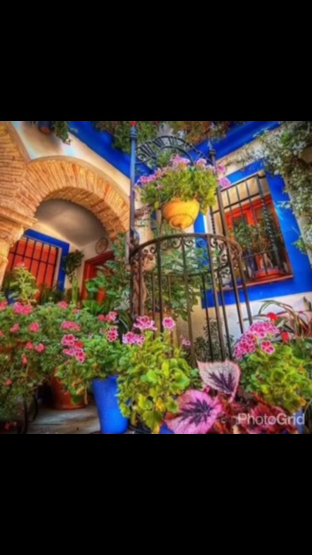 S,f,s (@so83128370so) on Twitter photo 