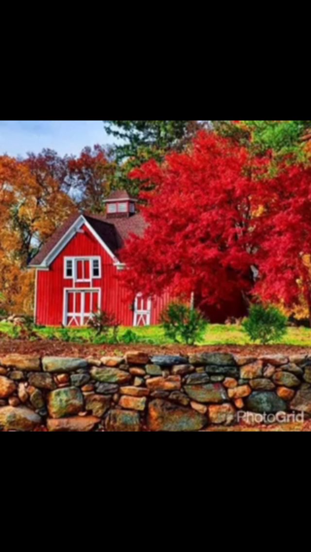 S,f,s (@so83128370so) on Twitter photo 