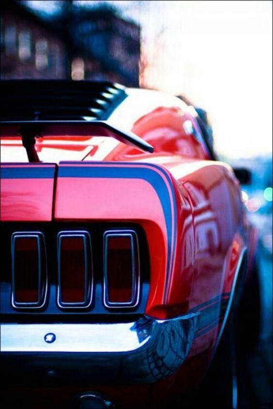 MicholsPalaG's tweet photo. @FordMustang #Munstang 🐴☀️! #HOTNSEXY #KindButKinky #BadGirlsDoItBetter #HottestAssModel #AssWednesday #DangerouslySexy #dangerouscurvie https://t.co/3CoXCwTMVH