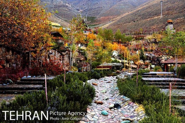 Iran's tweet photo. #Photos: Colourful #Autumn in #Tehran’s #Abshar #MountainPark

https://t.co/fWglRmd2kT

#Iran #Travel #Tourism #VisitIran
#MustSeeIran https://t.co/wb2e1ok0dD