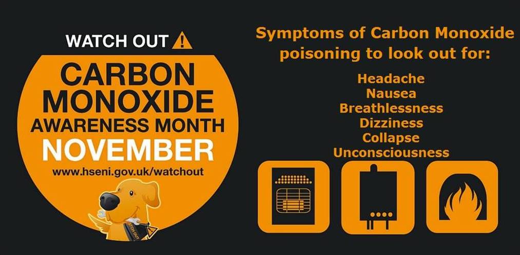 Hsenigov's tweet photo. Early symptoms of CO poisoning can mimic many common ailments. Find out more https://t.co/QDvFWCWLHD #COMonth16 https://t.co/l4s0uGoXpS