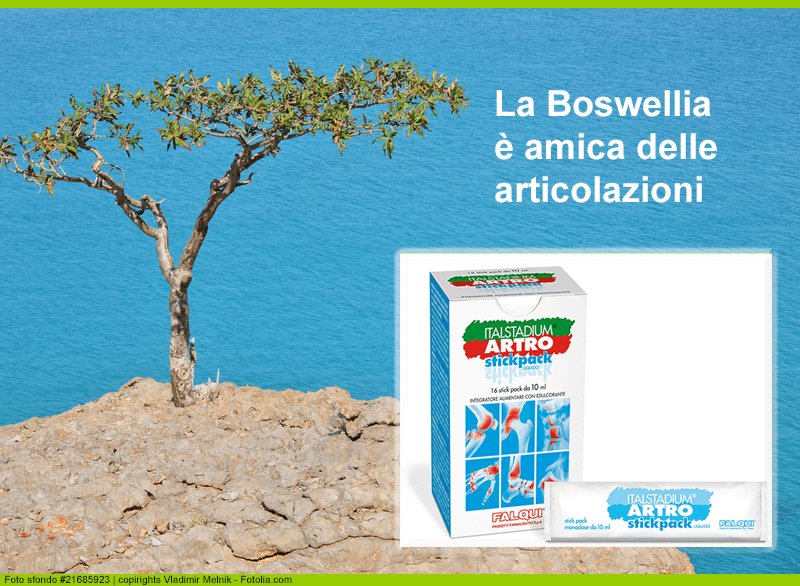 Falqui Srl tweet media