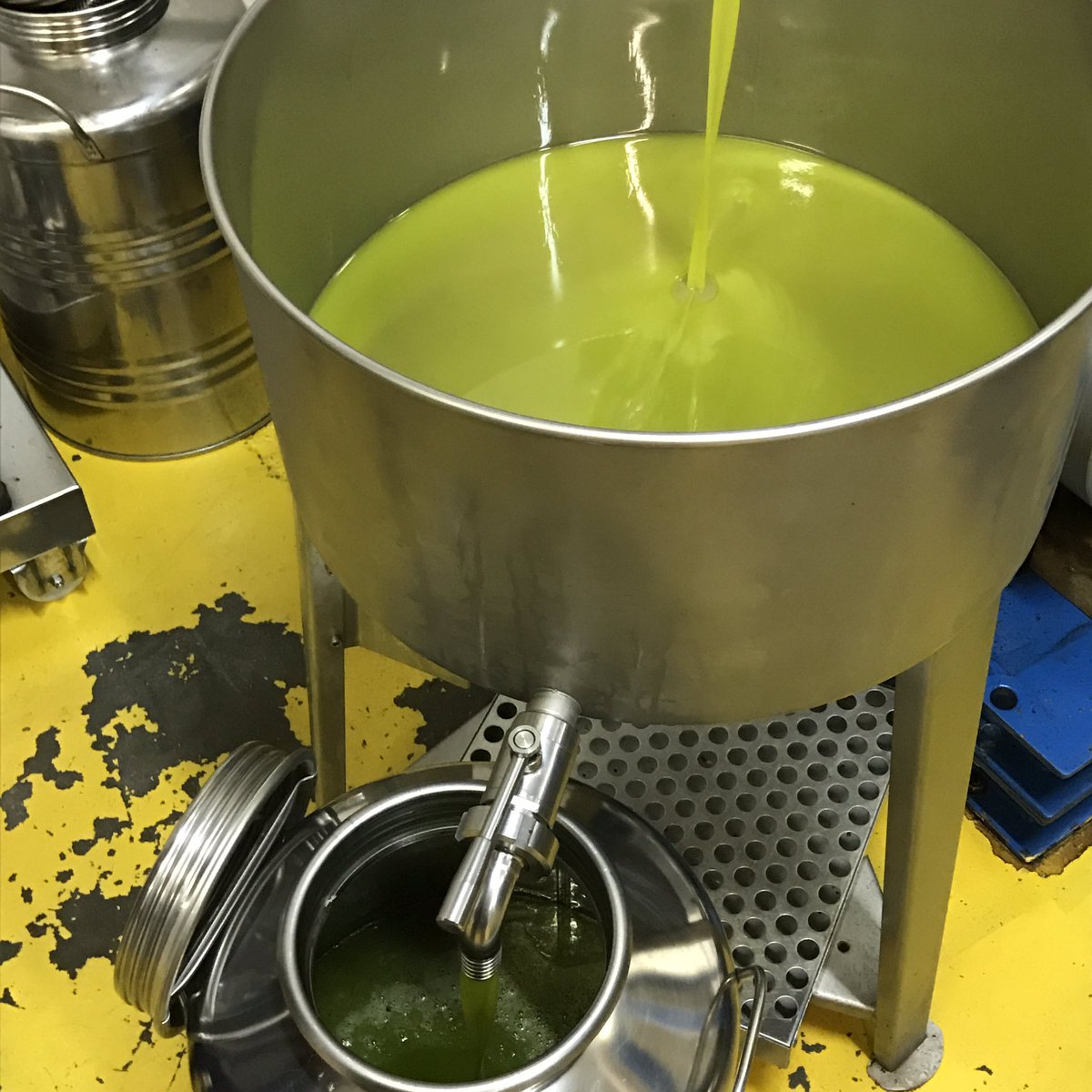 scratch_london's tweet photo. Trump or no trump Life goes on at olive co-op in #Tuscany. @FilippoBerio #oliveoil #coldpressed https://t.co/ixbFiDeTvc