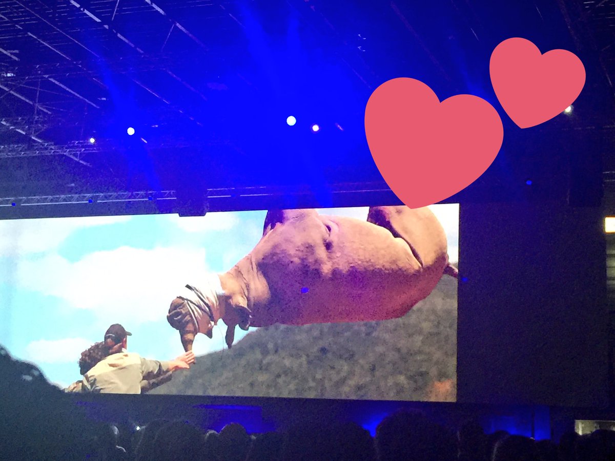 studiomakerweb's tweet image. Mooie docu van #wnf op #exactlive over de zwarte neushoorn. Goed dat er projecten zijn om uitsterven tegen te gaan.