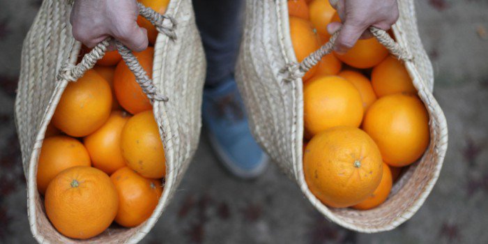 The Loaf Lab tweet media