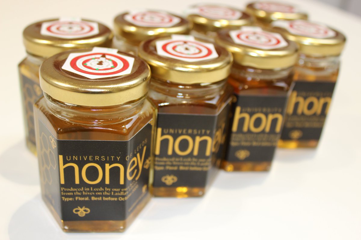 UoLLibrary's tweet photo. enjoying the weather? why not try &amp; win some #LibraryBees honey by tweeting us a snowy pic of Laidlaw Library? #FreebieFriday https://t.co/hESe9knQa4