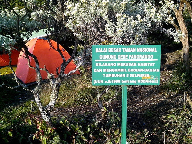 Pecinta Alam gunung gede dlvr.it/Md4Bkq #COPALA_INDONESIA