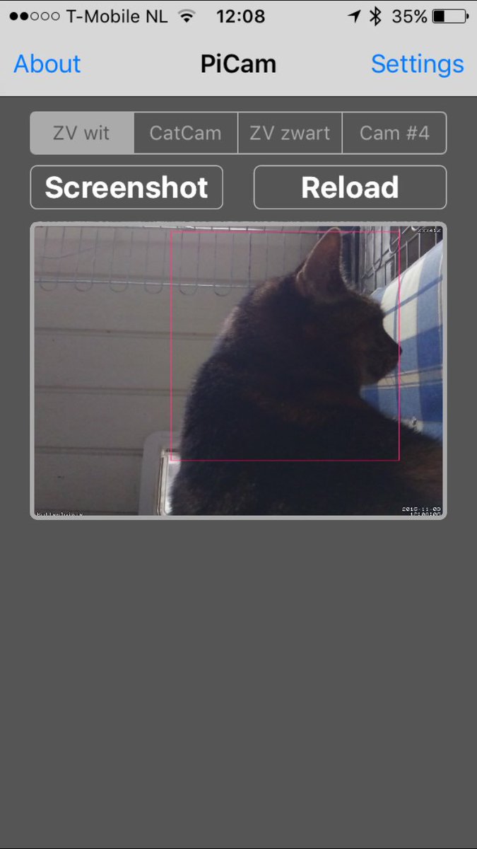 erwinharkink's tweet image. Een pushbericht krijgen van je CatCam 😎 #zeroview #raspberrypi