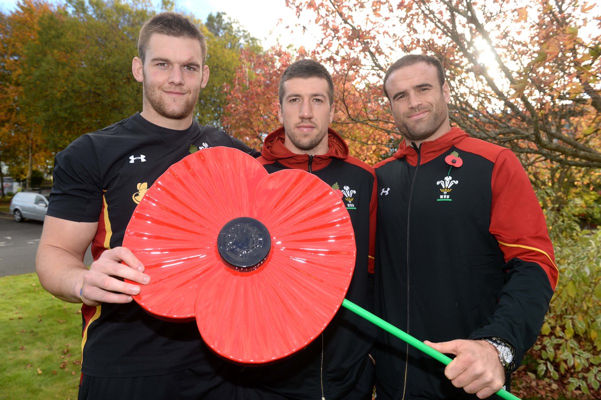 Wales squad are proud to be supporting @PoppyLegion this weekend with Poppy embroidered onto match jersey #PoppyAppeal #RethinkRemembrance