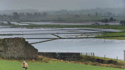 FarmersGuardian's tweet photo. From the editor: Time to give those on the ground flooding power

https://t.co/qDyFGHjpvy https://t.co/PPF9OC5ZrT