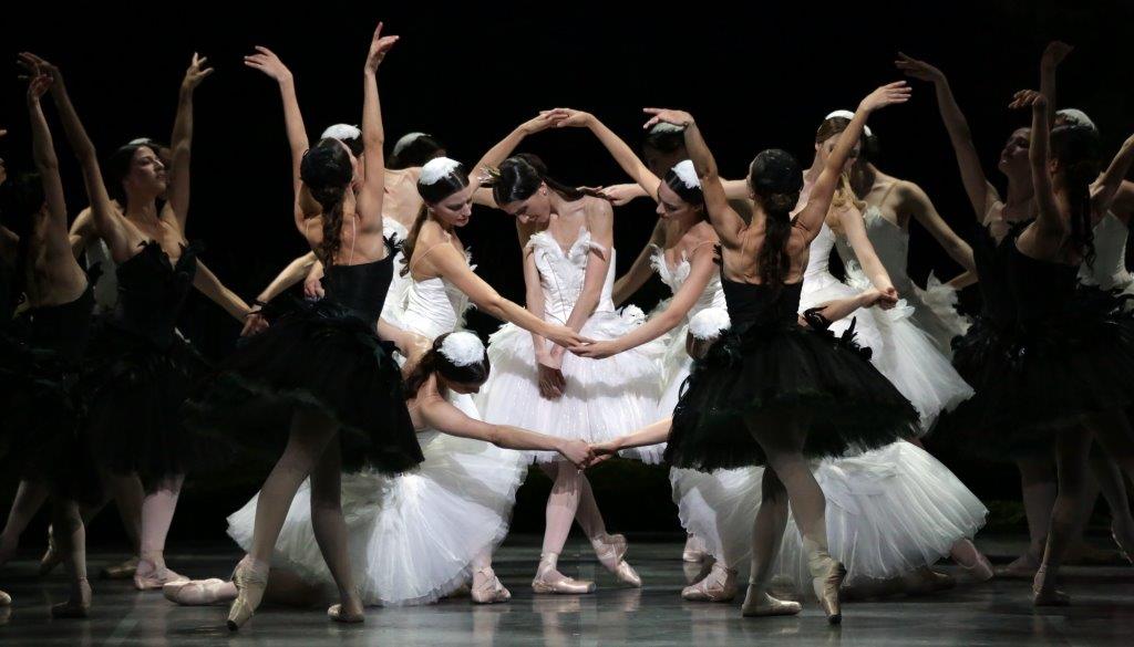 teatroallascala's tweet photo. Tonight at 8pm in Paris #swanlake returns on stage with Vittoria Valerio and @CovielloClaudio! https://t.co/lLJewlcKvJ https://t.co/4X9h20jpTk
