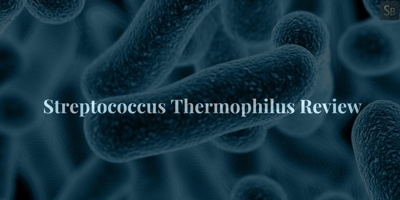 #SupplementsBank   #Health   #Probiotics   #ProbioticStrains   #Streptococcus   #Thermophilus  

supplementsbank.com/streptococcus-…